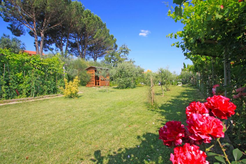 La Rosa - foto 34