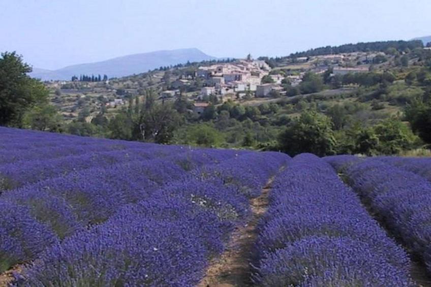 T2 'regular' - foto 35