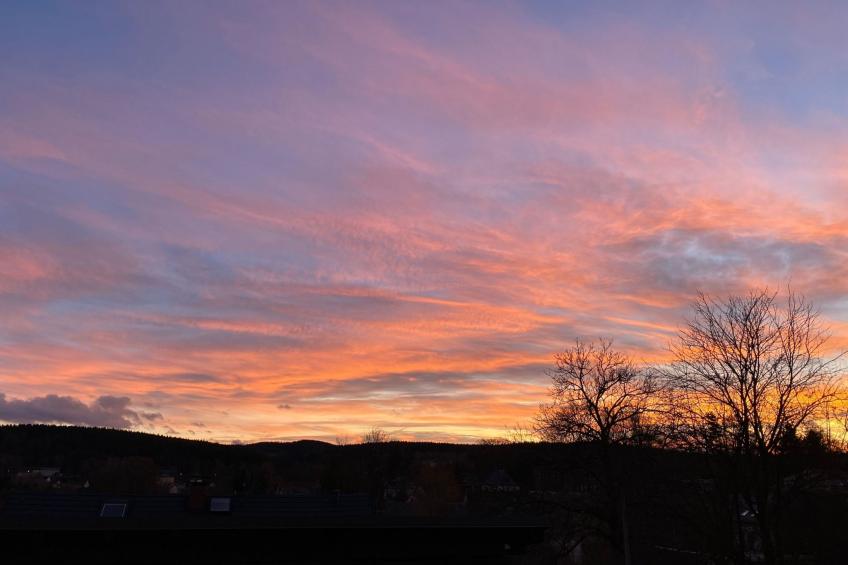 Gästehaus Siebert - foto 27