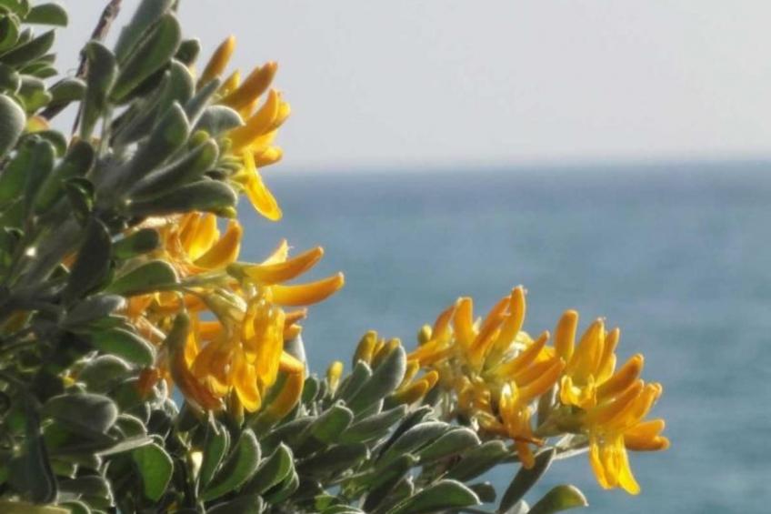 Locations-06 - la maison de noelie - Gartengeschoss - foto 15