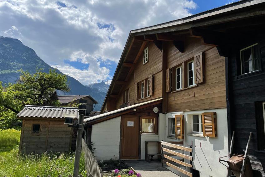 Alpine Home Streich - foto 24