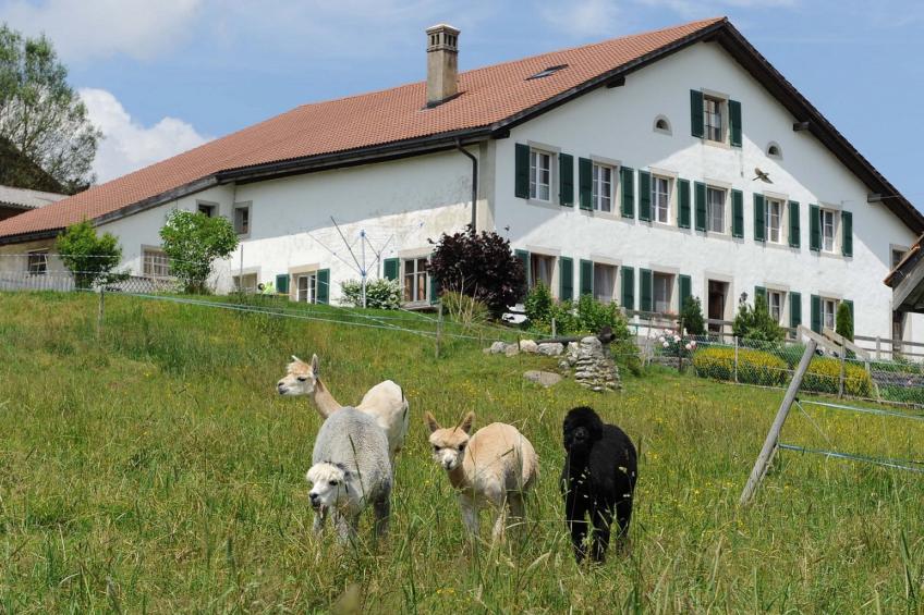 Gîte - Ferme O'Clés, (Le Cerneux-Veusil), - foto 14