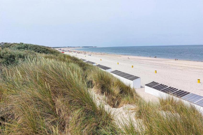 Oostkapelseweg 32 -Serooskerke - Ooievaar - foto 38