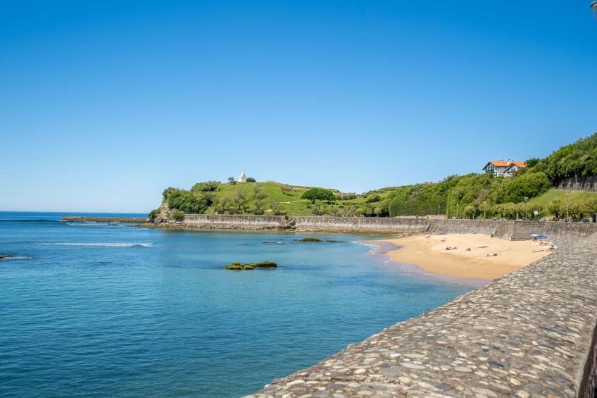 Barasteguia - foto 18