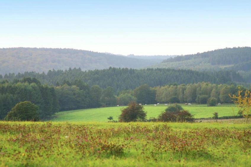 Au Bord de Lesse 6 - foto 38