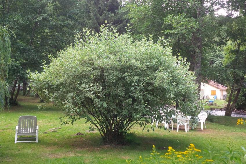 maison les isles menefriers - foto 25