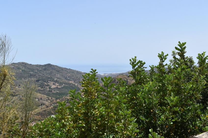 Finca Hornillo mit privatem Pool - foto 36