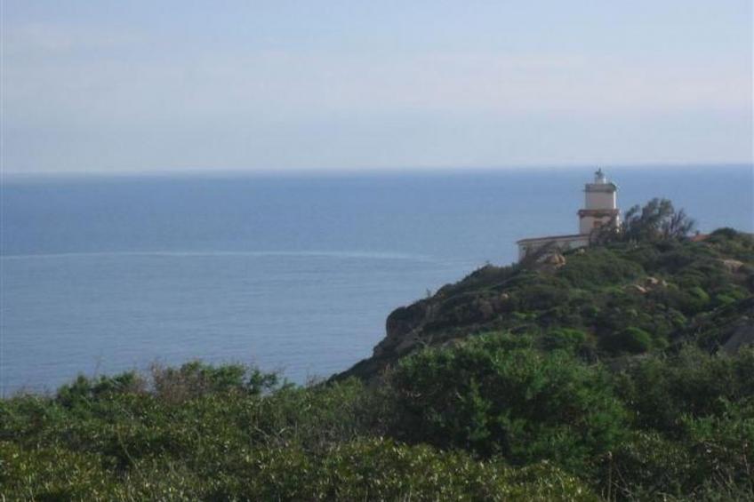 Natur, ökologische Nachhaltigkeit, nur für Erwachsene, Meer in der Nähe - foto 30