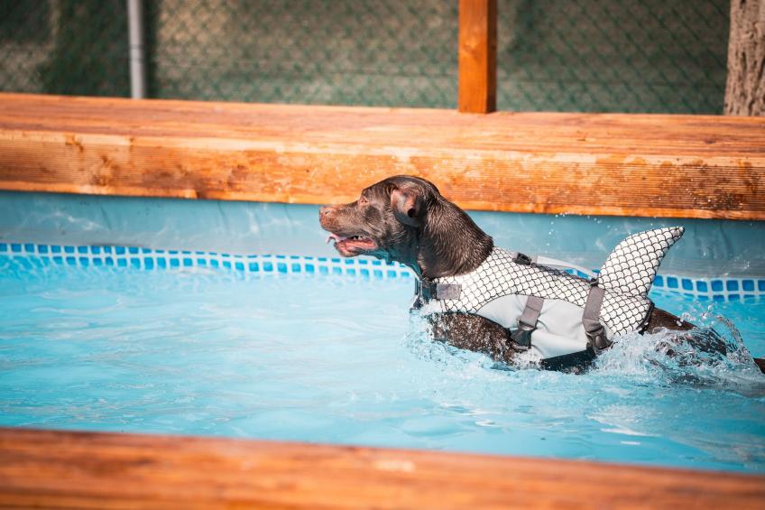 Rimini Family Resort - LODGE dog on request - foto 15