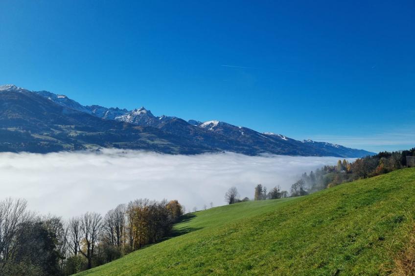 Kulmer Hof - foto 30