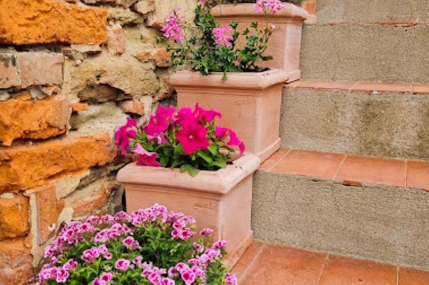 Podere Mencoini Elegante Villa mit Pool und Olivenbäumen - foto 18