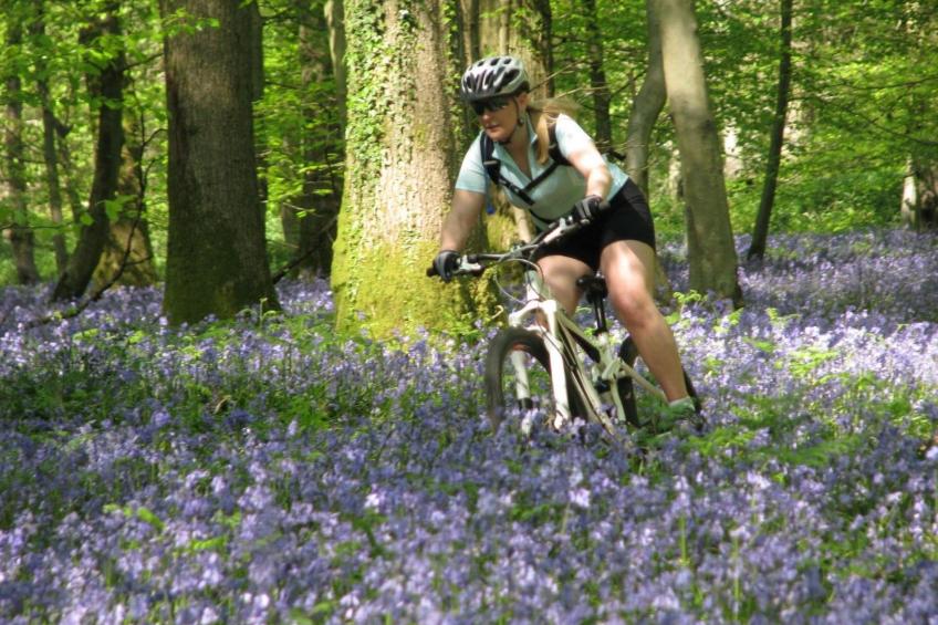 Cottage "Foxes Reach" mit Whirlpool - foto 26