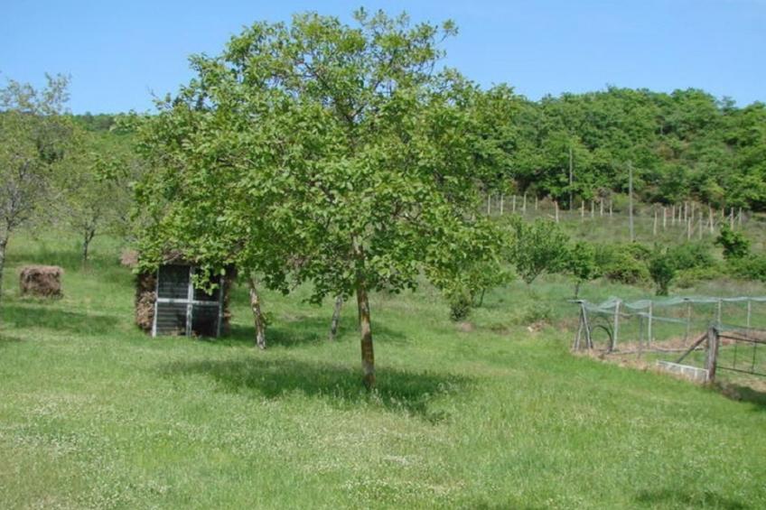 Le Corniole mit Pool, Jacuzzi und Grill - foto 45