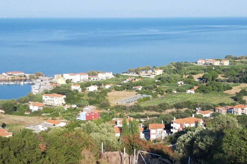 Andreas House - foto 9