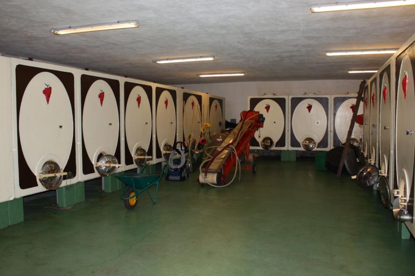 Wohnung in gemütlichem kleinen Bauernhaus - foto 50