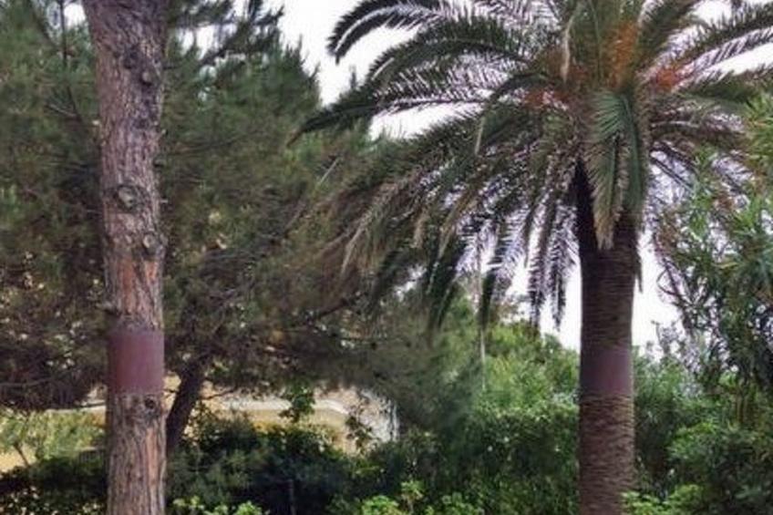 Ein-Zimmer-Wohnung Smeralda in Tortoreto Lido - foto 10