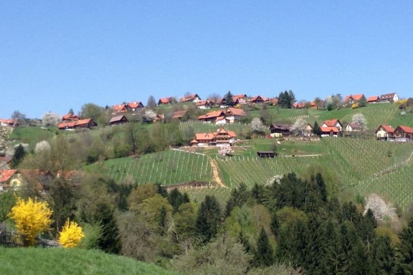 61953 - foto 33