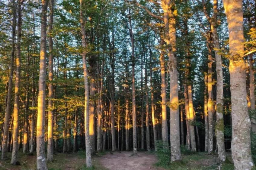 Nonno Raoul - foto 38