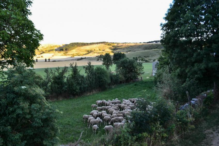 Gîte de France Gîtes de france 3 épis 5 personnes à mativet 3 épis - foto 24