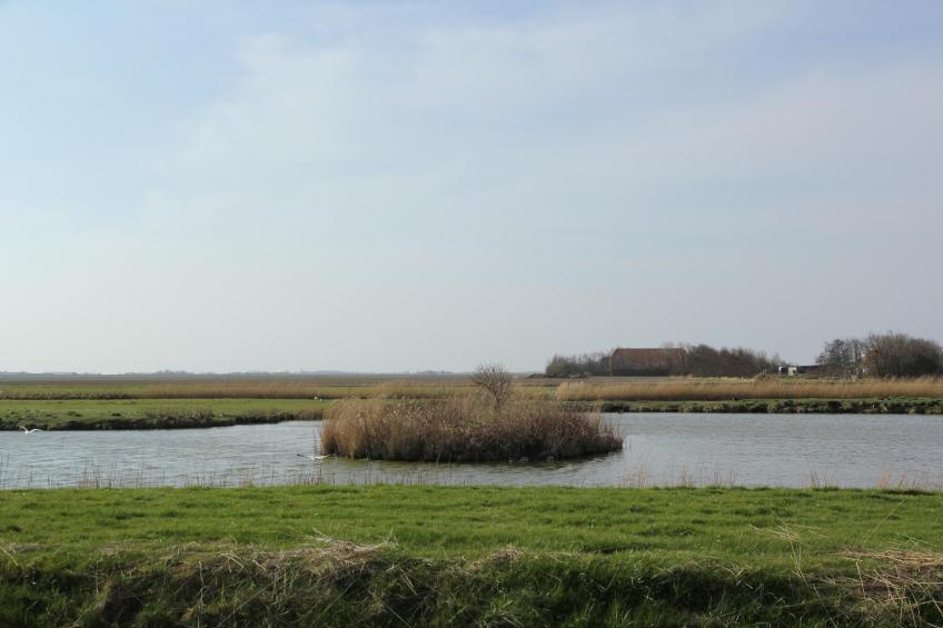 De Witte Parel - foto 25