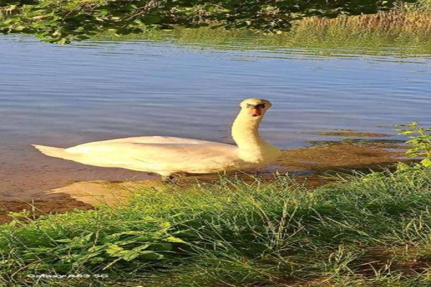 Holiday home Maryna - foto 34