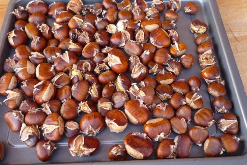 Casa Bella Vista - foto 20