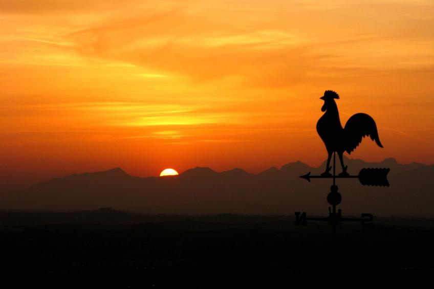 Ferienvilla 'Colle sotto 17' mit privatem Pool - foto 9