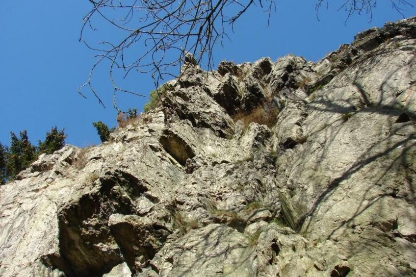 Snowview Lodge - foto 24