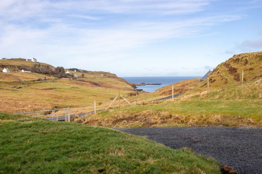 The Studio - foto 36