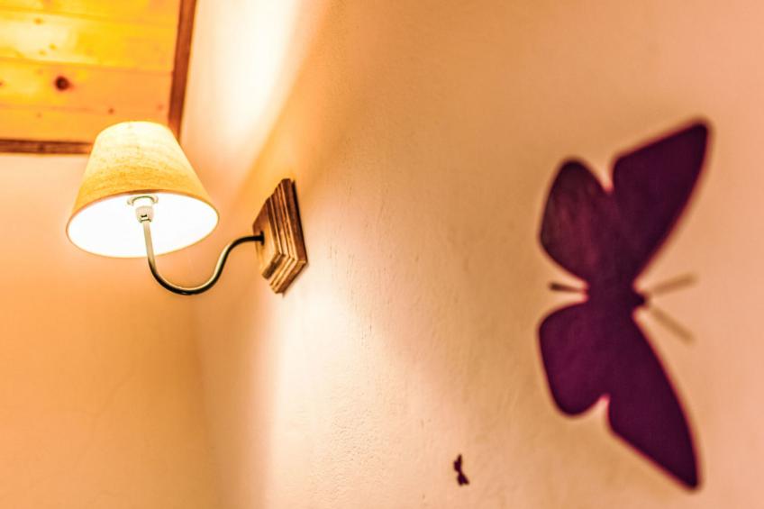 Natura with private pool - foto 14