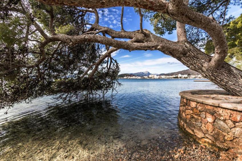 Domus Genti, Villa 5StarsHome Mallorca - foto 36