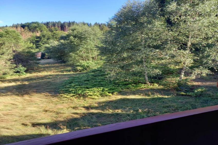 Ferienwohnung Schönbrunn - foto 30