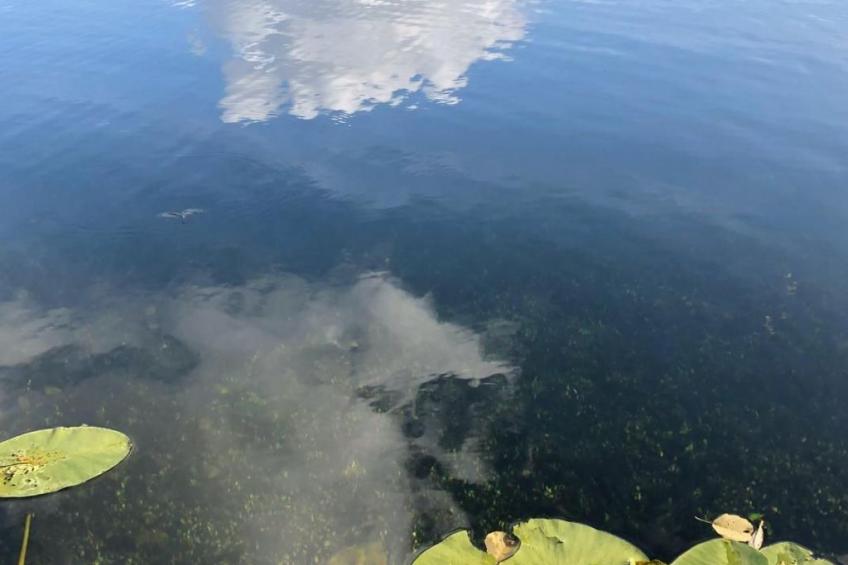 Schaalsee - Auszeit - foto 38