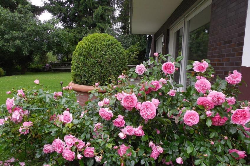 Haus Eicihhölzchen - foto 4