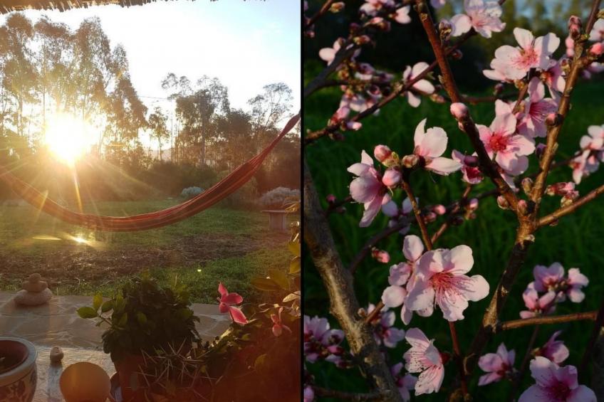 Su Sole de Barega - foto 19