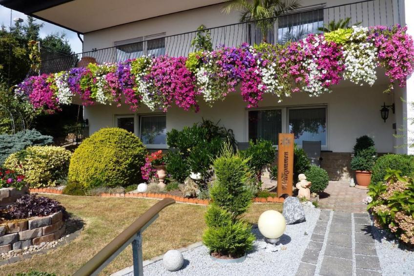 Appartement mit Terrasse - foto 2