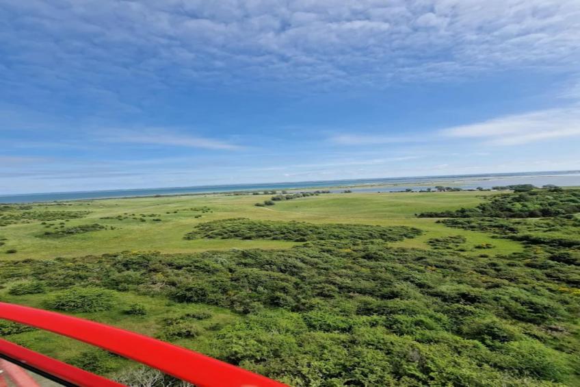 Appartementen Post Hiddensee, Vitte - Type B - foto 23