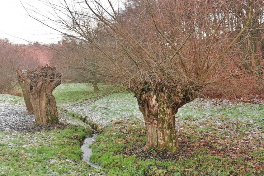 Ferienwohnung Freital - Dresden - foto 10