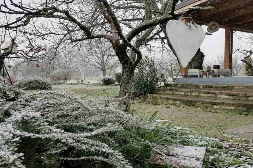 Holiday Home Paunovaca - Two Bedroom Holiday Home - foto 41