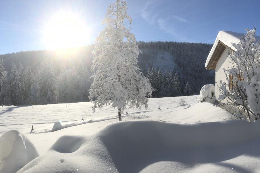 Black Forest Hideaway - foto 40