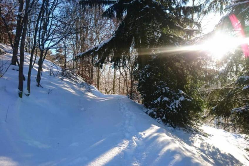 Altes Bootshaus 3 - foto 38