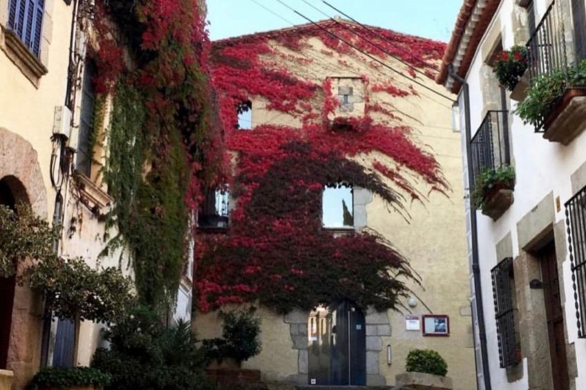 Wohnung an der Strandpromenade - foto 32