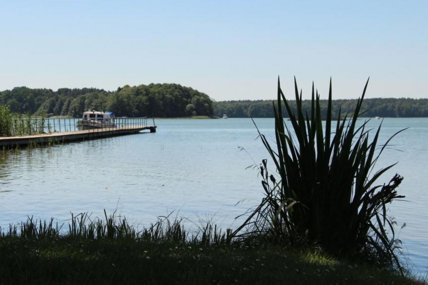 Gemütliches Safarizelt mit Grill und Garten - foto 3