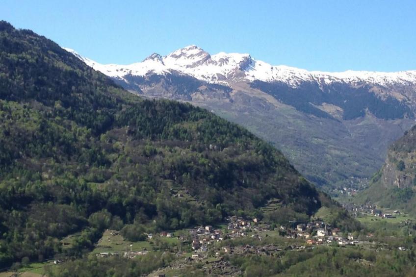 Ursprüngliches, stilvolles Rustico - foto 21