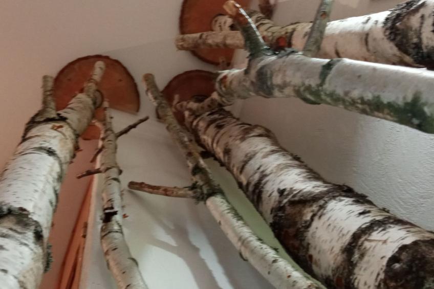 In der Provence, Außergewöhnliche Villa, Okzitanien, Gard - foto 53