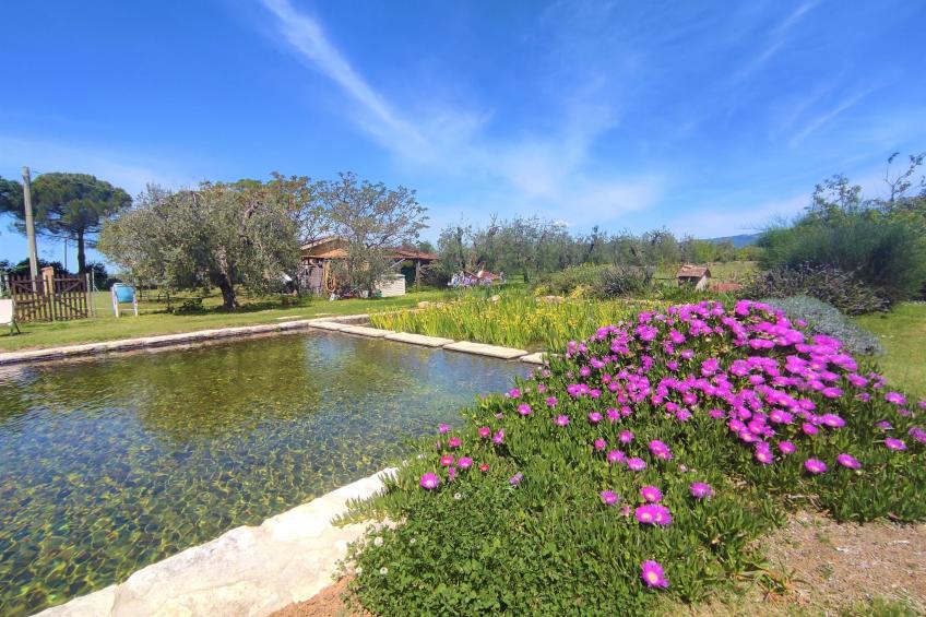 Agriturismo Podere Noé (ROC420) - foto 2