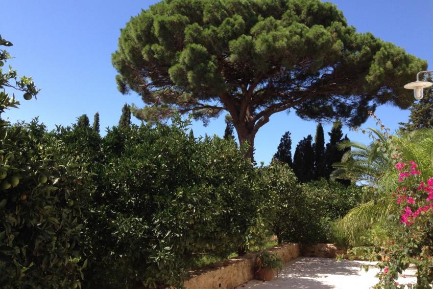 'Haus am Zitronenhain' - foto 14