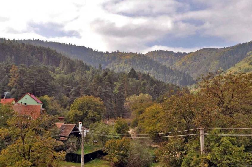 Casa Crina in Karpaten-Dorf in Siebenbürgen - foto 27