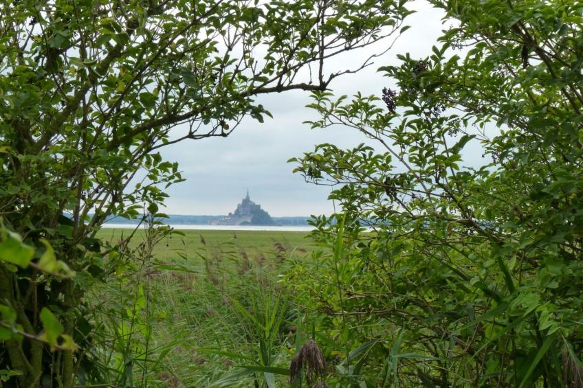 Maison du Lapin (Haus des Kaninchens) in Saint-Étienne-en-Coglès - foto 21