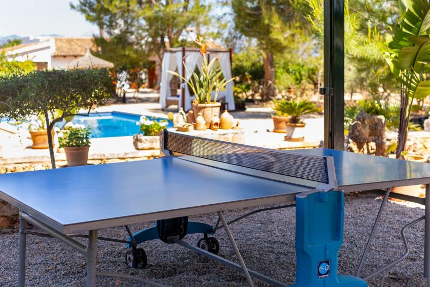 Mulet Llubi - foto 11